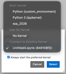 Kernel selector dialog with custom environment listed